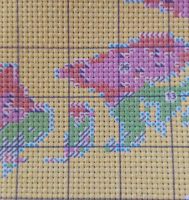 11ct T-Rex Dino | Stamped Cross-Stitch Embroidery Kit