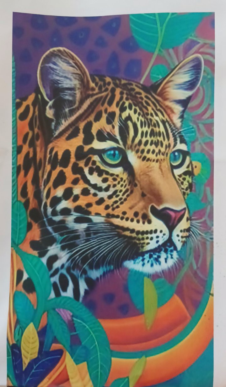 11ct Rainbow Cougar | Stamped Cross-Stitch Embroidery Kit