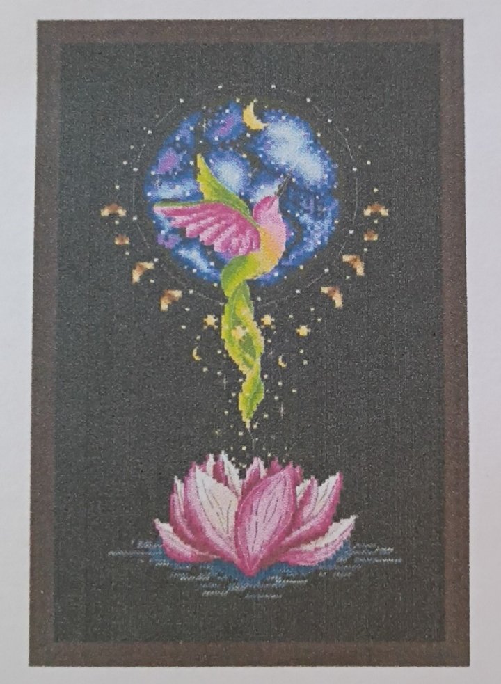 14ct Hummingbird Lotus | Counted Cross-Stitch Embroidery Kit (Backstitch+)