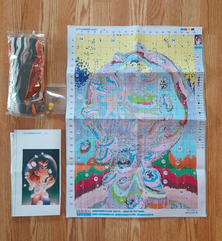 11ct Jellyfish Space Girl | Stamped Cross-Stitch Embroidery Kit