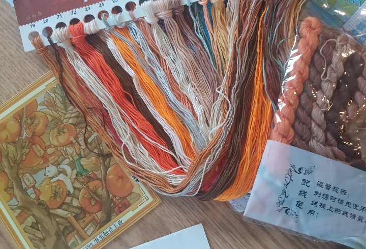 11ct Persimmon Girl | Mona Lisa Stamped Cross-Stitch Embroidery Kit