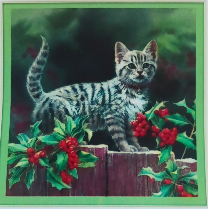 11ct Kitten & Holly | Stamped Cross-Stitch Embroidery Kit